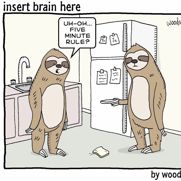 New Absurd Humor Single Panel Comics From The “Insert Brain Here” Strip By Paul Woods
