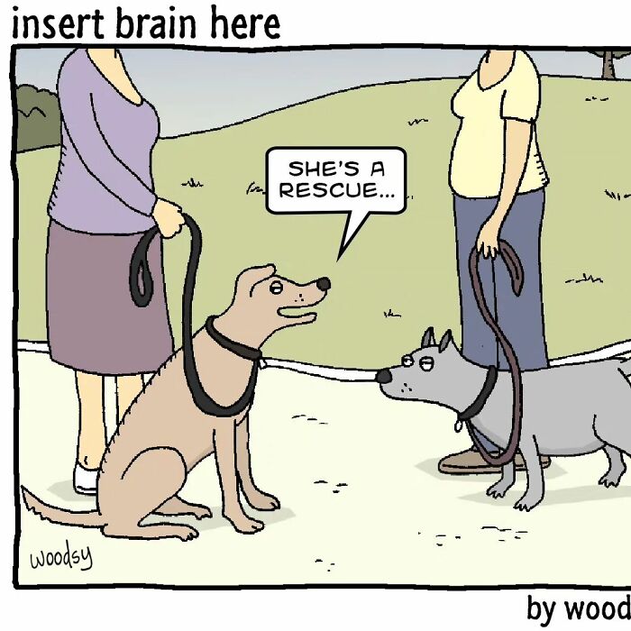 New Absurd Humor Single Panel Comics From The “Insert Brain Here” Strip By Paul Woods