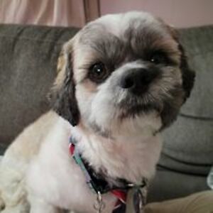 paula-withrow avatar