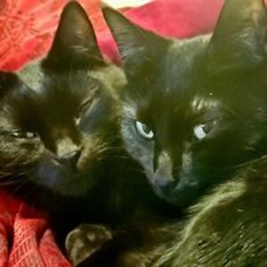 jennifer_schreifels avatar