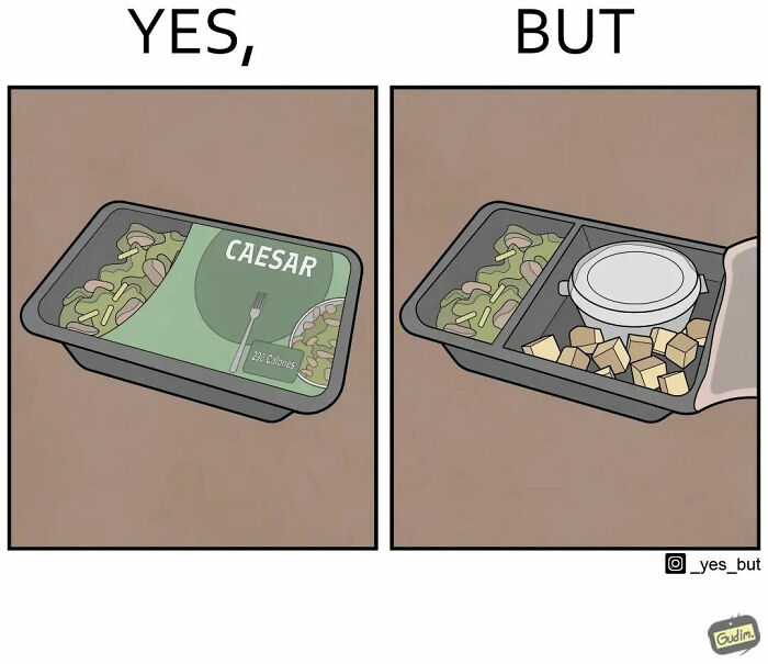Artist illustrates both sides with a Caesar salad packaging showing ingredients separately for humor.