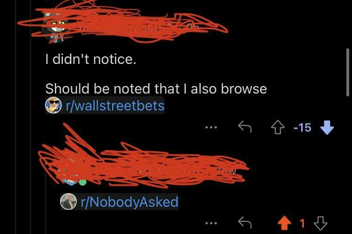 In A Thread About Whether Or Not A Dog Video Was Reversed