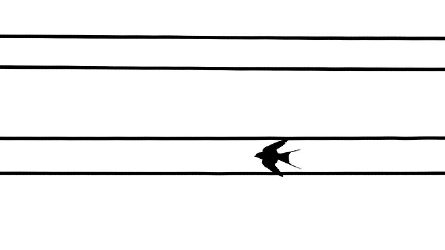 Youth: Highly Honored – "One Way" By Gergő Kártyás