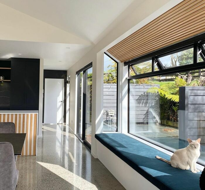 Cat sitting on a big window nook 