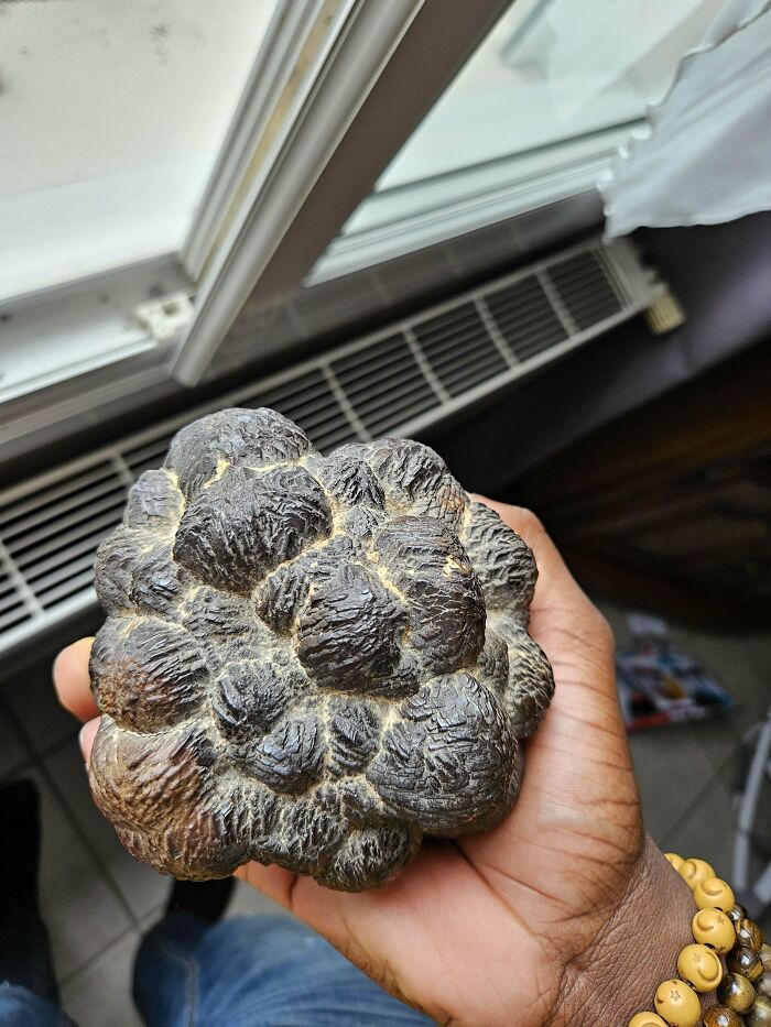 What Is This? Uncle Had This Since Decades And Never Found Out What It This?