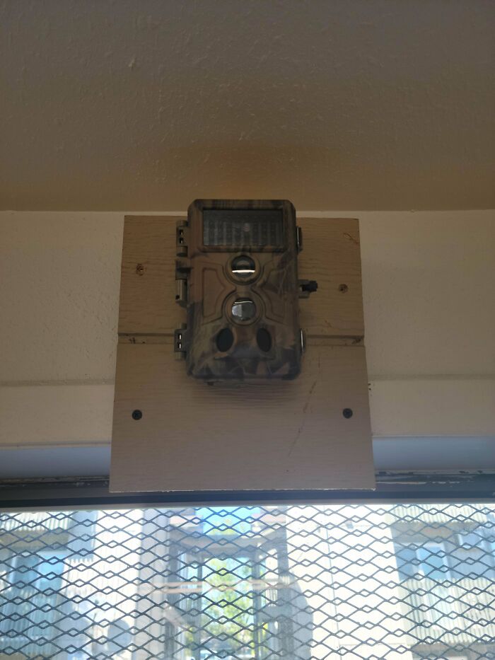 This Was Put Up In The Laundry Room