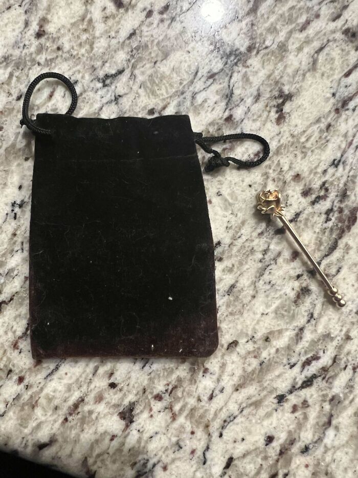 My Mom Found This By Her Pool Gate