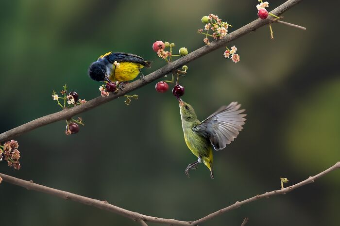 Under 20, Honorable Mention: Meal By Raffael Gunawan