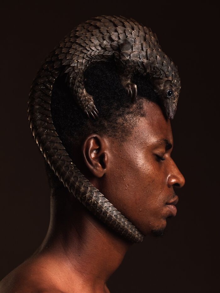 Fascinating Faces And Characters, Honorable Mention: The Crown By Mauro De Bettio