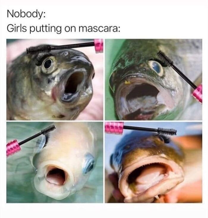 Fish with open mouths, compared to girls applying mascara, illustrating relatable memes humor.