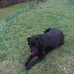 rebeccakester4 avatar