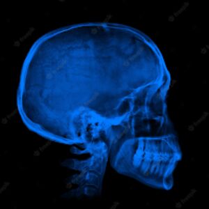 lonniegilmore avatar