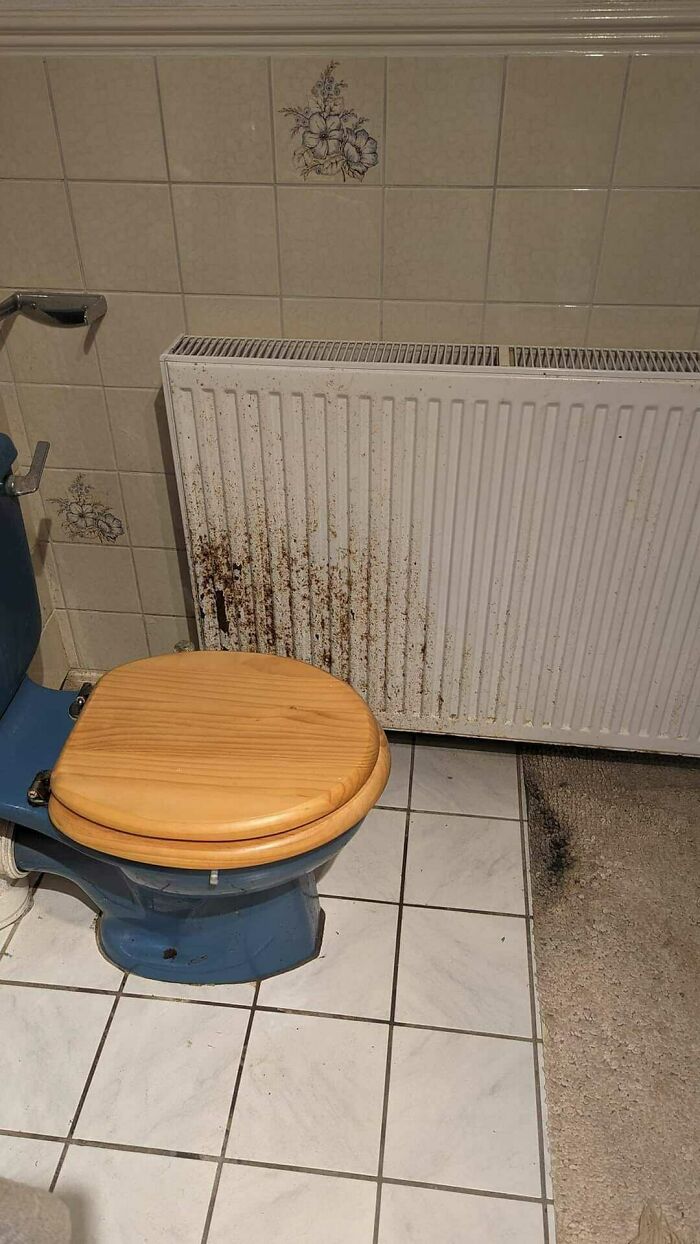 Creepy-Toilets-With-Threatening-Auras-Pics