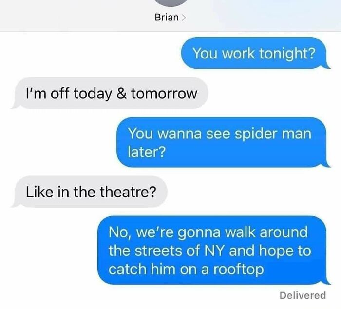 Text message conversation meme with a sarcastic response about seeing Spider-Man in New York.