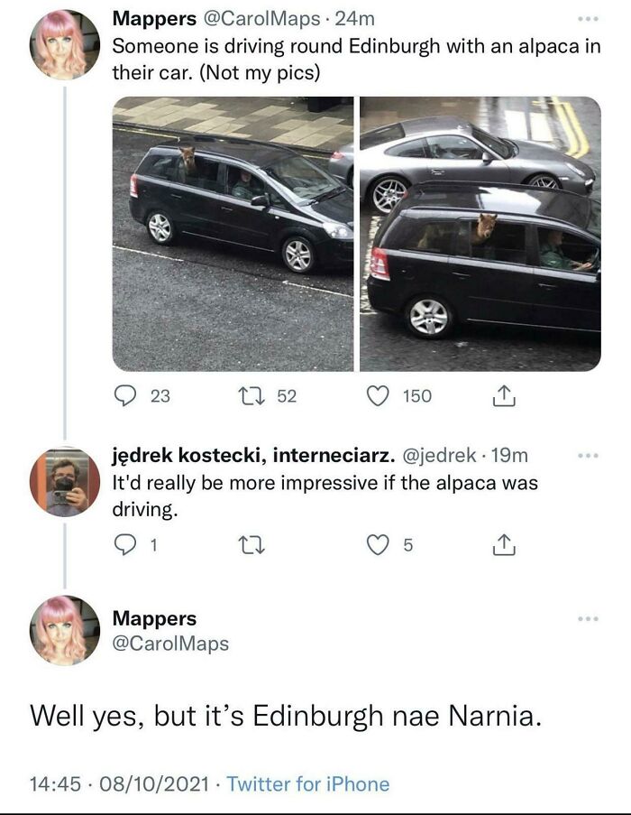 Tweet showing a sarcastic and funny meme of an alpaca inside a car in Edinburgh.