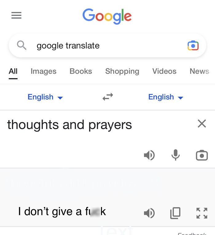 Google Translate meme showing sarcasm with "thoughts and prayers" translating to a crude phrase.