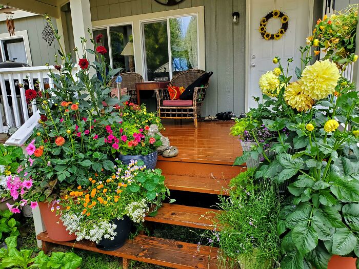 Colorful blooms and lush plants surrounding a wooden deck, creating a chic backyard outdoors space.