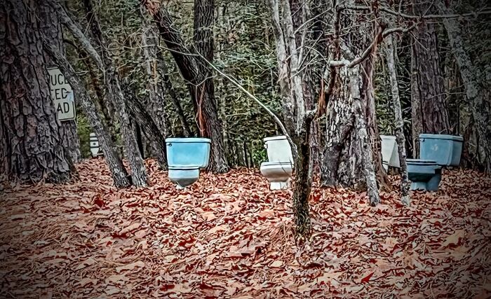 Creepy-Toilets-With-Threatening-Auras-Pics