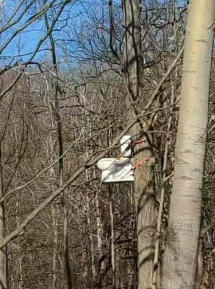 Creepy-Toilets-With-Threatening-Auras-Pics