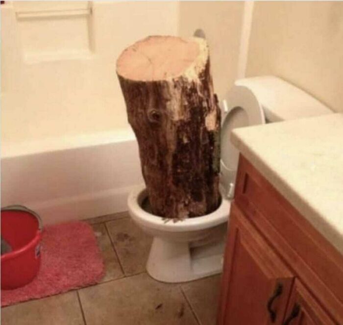 Creepy-Toilets-With-Threatening-Auras-Pics