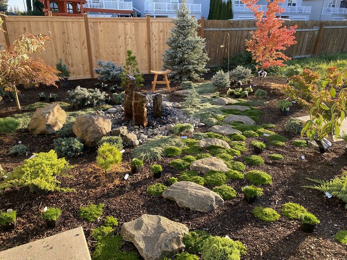 Unique rock garden in a backyard featuring natural stones and greenery for chic outdoors with budget-friendly backyard ideas.