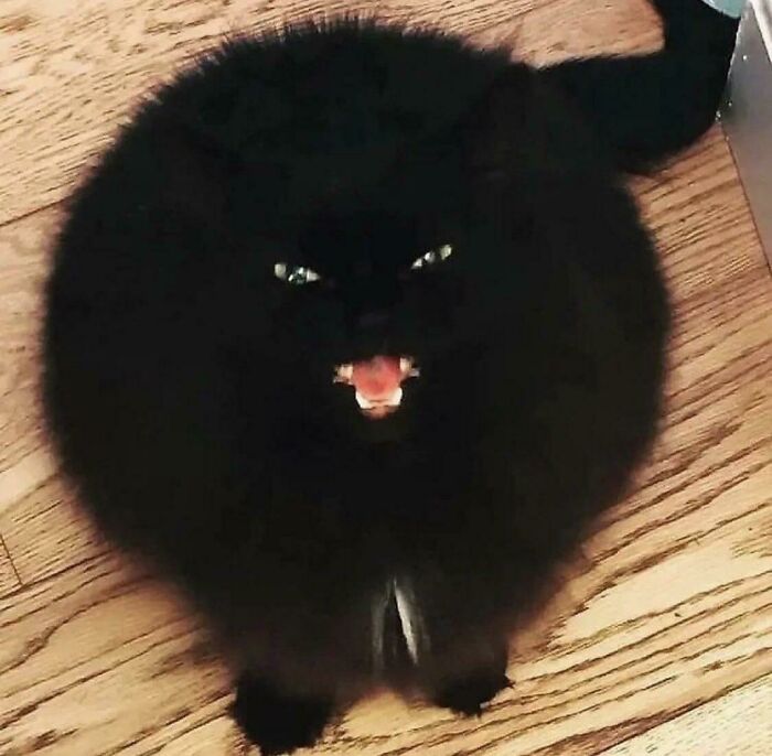 Muy redondo y ruidoso