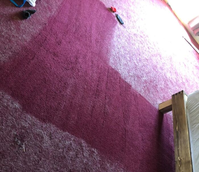 Vibrant reddish carpet with visible clean lines showing progress from a cleaning mission.
