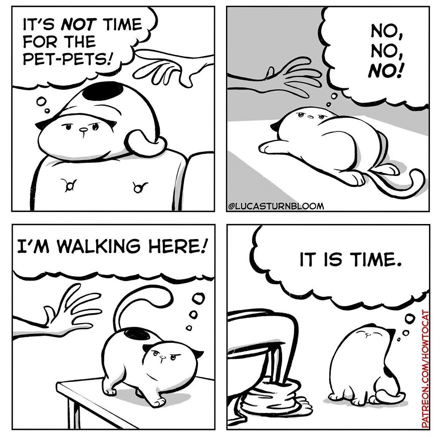 Black and white relatable cat comic showing a cat ignoring petting and insisting it is time for the litter box.