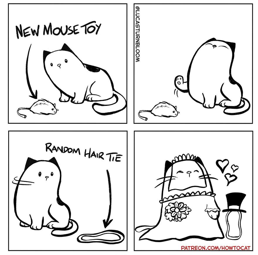 New Comics Illustrating The Funny Life Of A Kitten Who Found A New Home