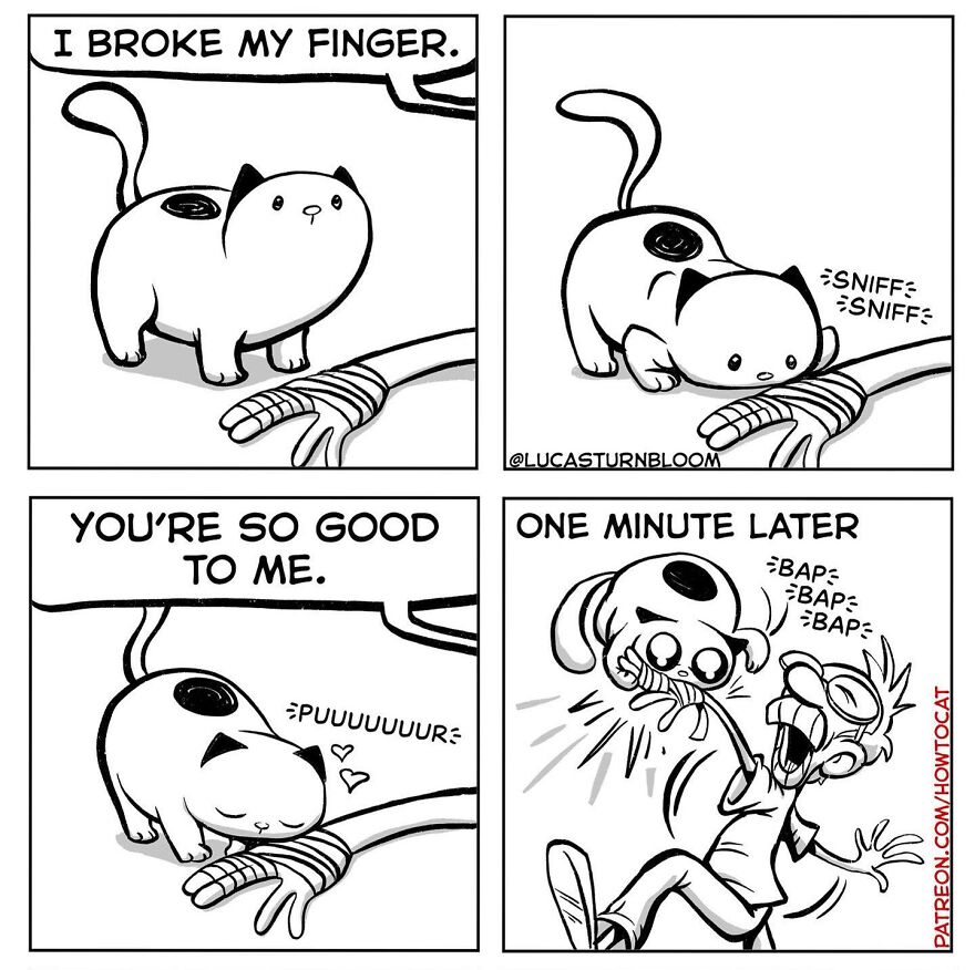 New Comics Illustrating The Funny Life Of A Kitten Who Found A New Home