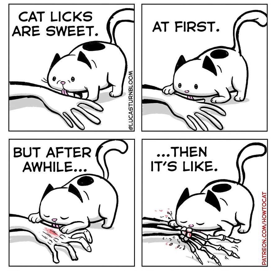 New Comics Illustrating The Funny Life Of A Kitten Who Found A New Home