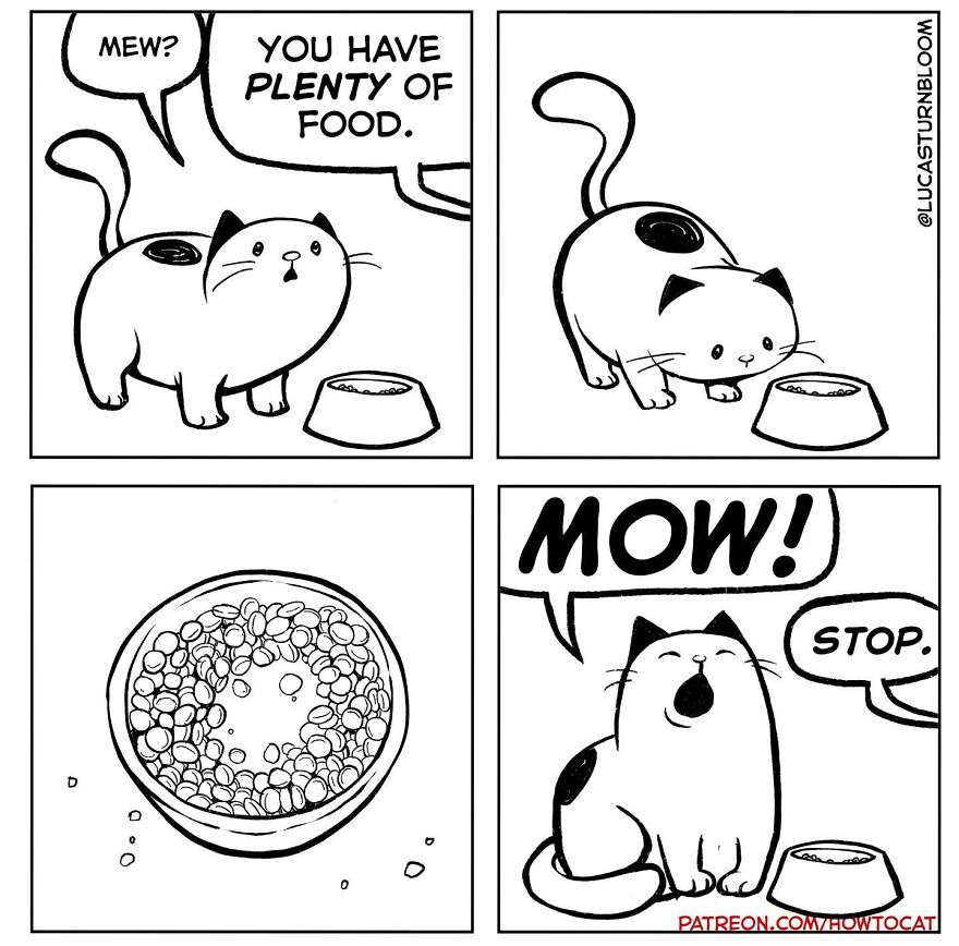 Black and white comic of a cat demanding food with relatable cat behavior in a simple cartoon style.