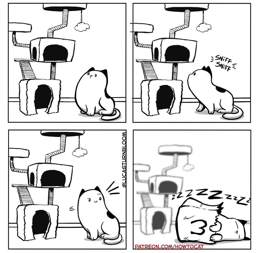 New Comics Illustrating The Funny Life Of A Kitten Who Found A New Home