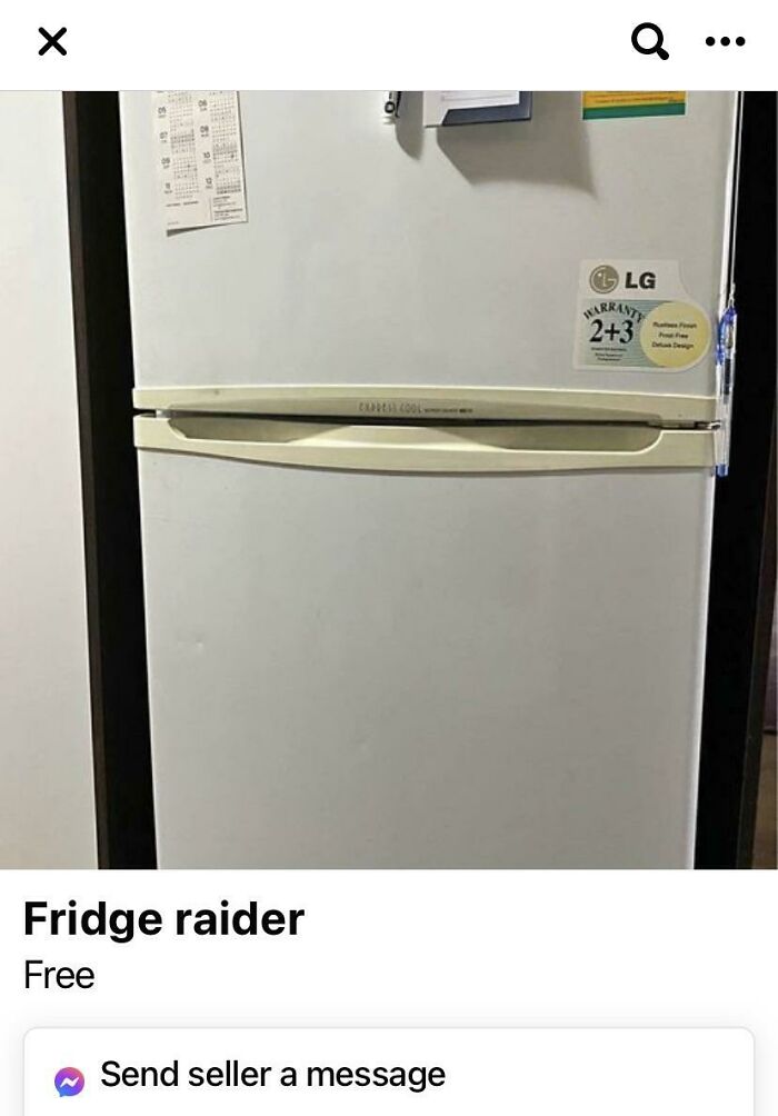 Fridge Raider