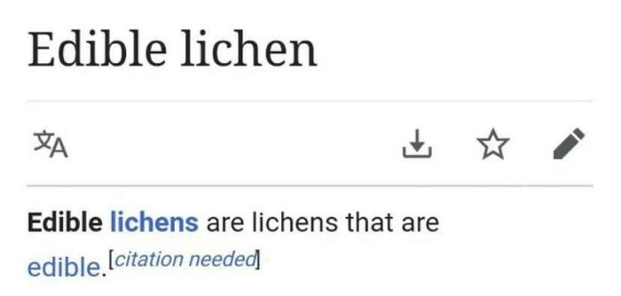 I Wrote The Description, Boss