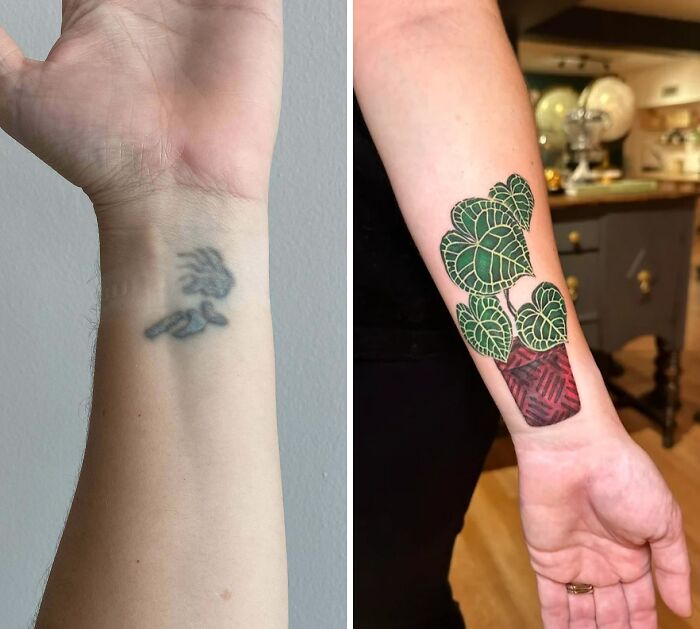 Tattoo cover-up showing a blurred old tattoo transformed into a vibrant green plant design on the arm.