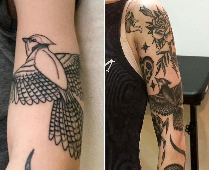 My Blue Jay Has Come A Long Way