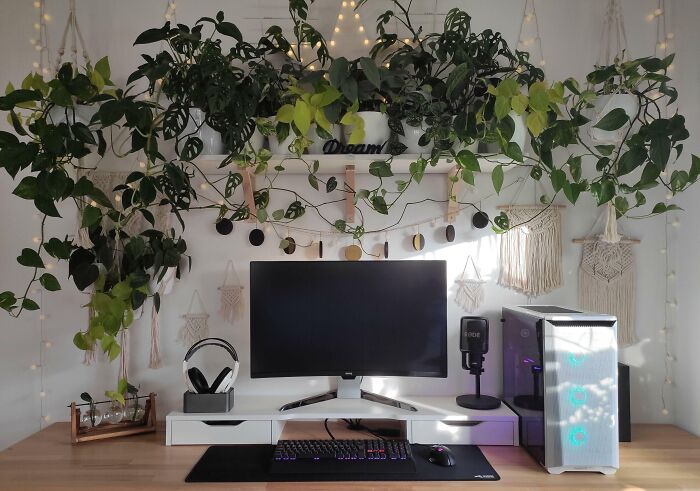 Home office design with computer setup, plants, decorative wall hangings, and cozy lighting creating a comfortable workspace.