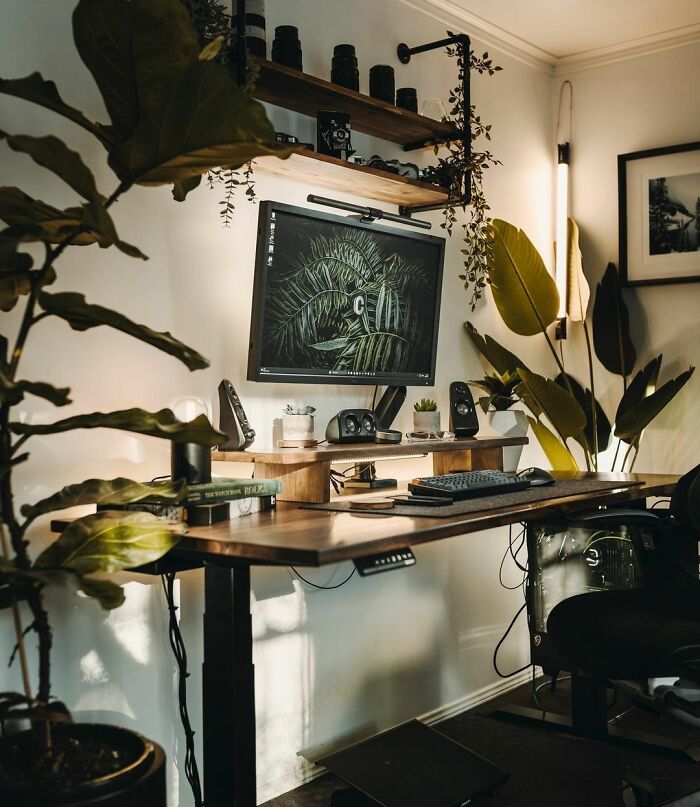 Cozy home office design with wooden desk, plants, monitor, and ambient lighting creating a warm and inviting workspace.