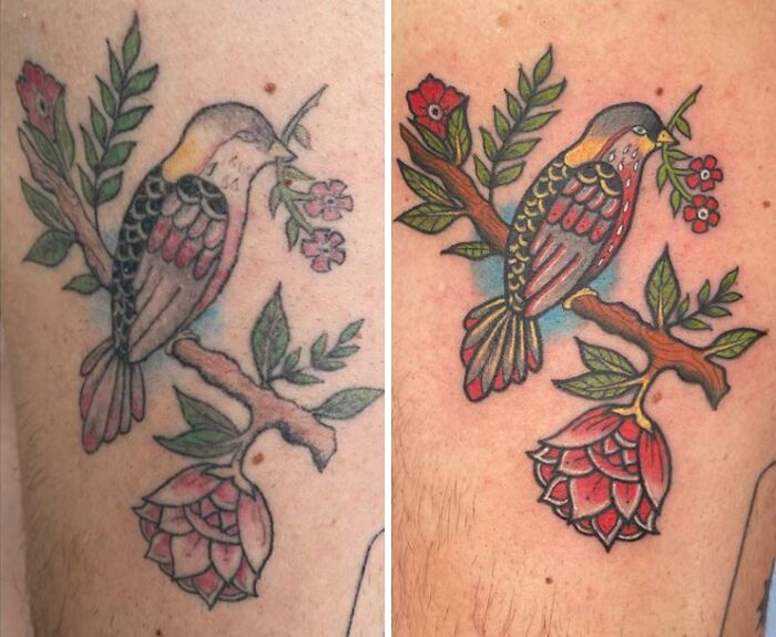 Tattoo cover-up showing a bird on a branch, with vibrant colors and detailed enhancements over the original design.