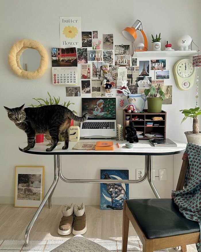 Cozy home office design with a cat on desk, laptop, wall art, plants, and warm lighting creating a comfortable workspace.
