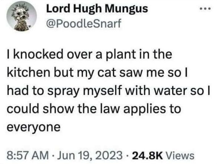 Blockchain-Memes-For-Decentralized-Teens