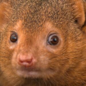 davidmcqueary avatar