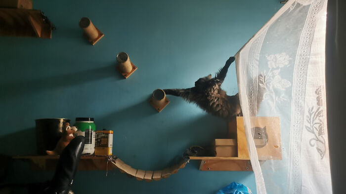 Someone Told Me This Dramatic Floor Belonged Here