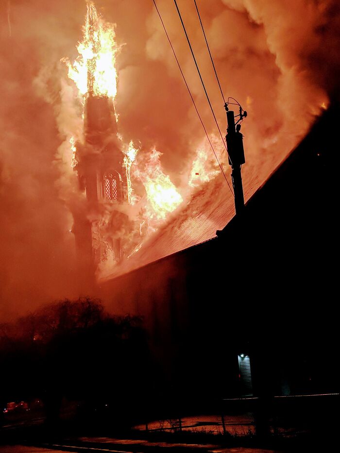 Found This One On R/Natureismental