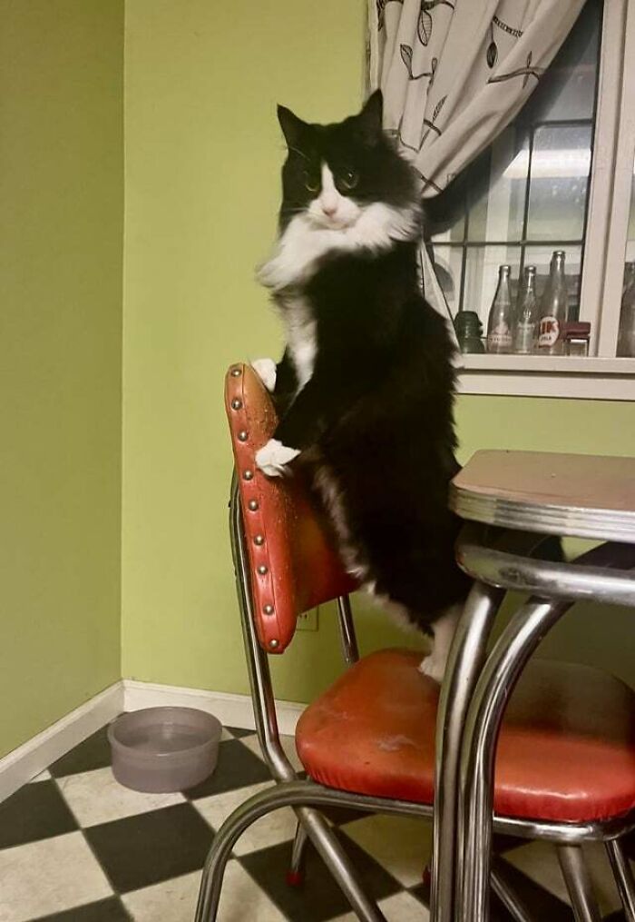 A Flemish Masterpiece