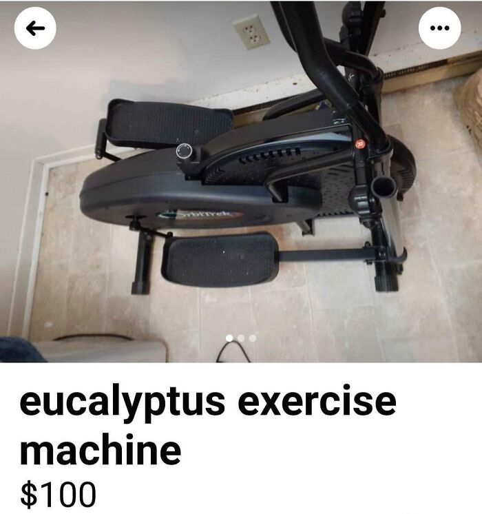 Eucalyptus Machines Are My Favorite