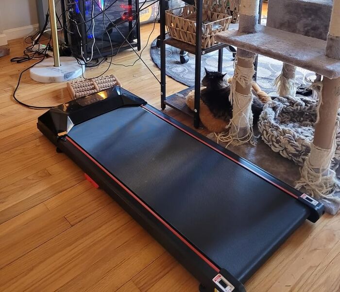 Compact treadmill on a wooden floor with a cat nearby, illustrating 2025 success starts now and pursuing your goals at home.
