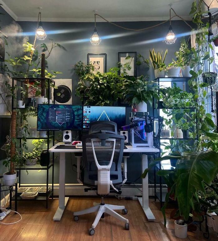 Cozy home office design with dual monitors, ergonomic chair, abundant greenery, and soft pendant lighting.