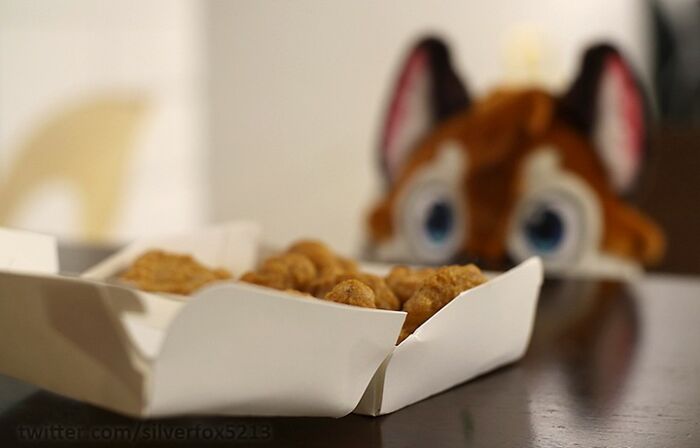 Digital Furry Animal In Real-Life Situation